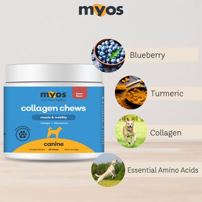 Show full view: MYOS Muscle & Mobility Collagen Chews Dog Supplement, 180-g slide 7 of 11