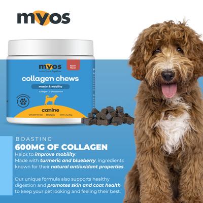 Show full view: MYOS Muscle & Mobility Collagen Chews Dog Supplement, 180-g slide 9 of 11