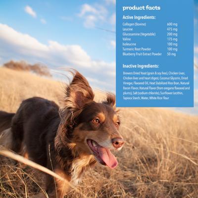 Show full view: MYOS Muscle & Mobility Collagen Chews Dog Supplement, 180-g slide 10 of 11