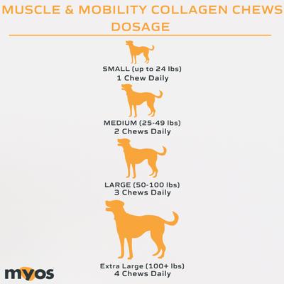 Show full view: MYOS Muscle & Mobility Collagen Chews Dog Supplement, 180-g slide 8 of 11