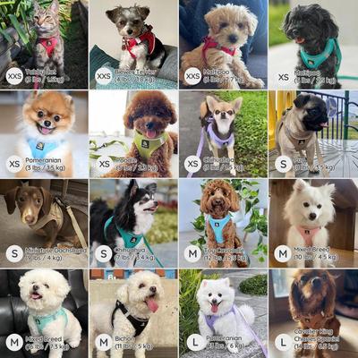 Show full view: Bella & Pal OxyMesh Velcro Step-in Harness & Leash Set, Mocha Brown, XX-Small slide 6 of 7