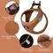 Show in main carousel: Bella & Pal OxyMesh Velcro Step-in Harness & Leash Set, Mocha Brown, XX-Small slide 3 of 7