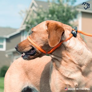 Mad Dog Products Premium Rope Easy Leader Nylon Slip Lead Dog Leash, Orange, 6-ft long, 3/8-in wide