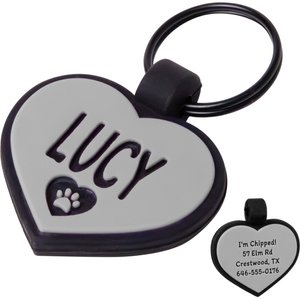 GoTags Personalized Stainless Steel with Enamel Paw Design Bone Shaped Pet ID Tag