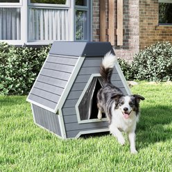 Coziwow Indoor & Outdoor Waterproof & Chew Resistant Dog House, Dark Grey, Large slide 2 of 9