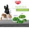 Show in main carousel: Kaytee Treat Stick with Superfoods Spinach & Kale Flavor Small Animal Treats, 5.5-oz bag slide 4 of 11