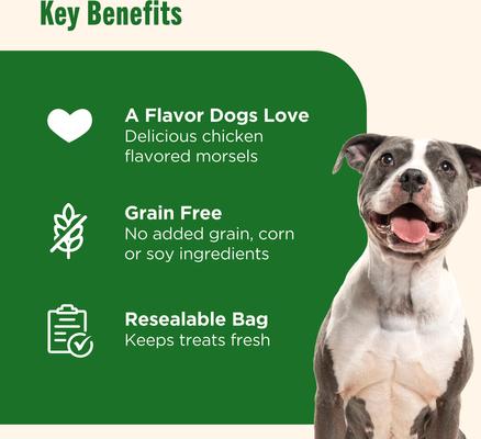 Show full view: Rachael Ray Nutrish Savory Roasters Chicken Recipe Premium Dog Treats, 12-oz bag slide 4 of 12