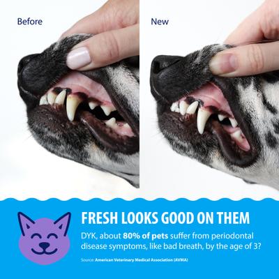 Show full view: Dental Fresh Original Formula Dog & Cat Dental Water Additive, 8-fl oz bottle slide 5 of 12