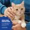 Show in main carousel: Dental Fresh Original Formula Cat Dental Water Additive, 8-fl oz bottle slide 6 of 12