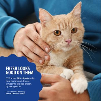 Show full view: Dental Fresh Original Formula Cat Dental Water Additive, 8-fl oz bottle slide 6 of 12