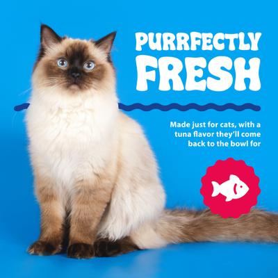 Show full view: Dental Fresh Original Formula Cat Dental Water Additive, 8-fl oz bottle slide 5 of 12