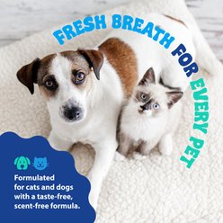 Dental Fresh Original Formula Dog & Cat Dental Water Additive, 32-fl oz bottle slide 2 of 8