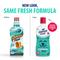 Show in main carousel: Dental Fresh Original Formula Dog & Cat Dental Water Additive, 8-fl oz bottle slide 3 of 12