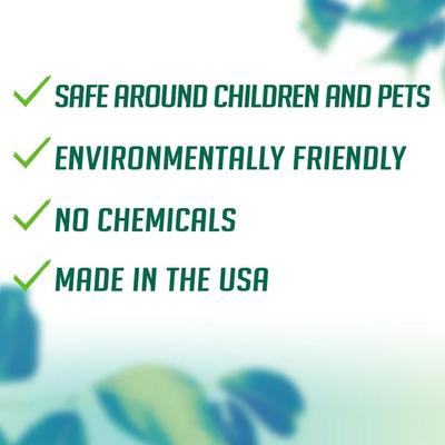 Show full view: EcoSMART Insect Repellent Aerosol, 6-fl oz bottle slide 8 of 9