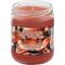 Show in main carousel: Pet Odor Exterminator Pumpkin & Waffles Deodorizer Candle, 13-oz slide 1 of 1