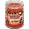 Show in main carousel: Pet Odor Exterminator Spiced Cider Deodorizer Candle, 13-oz slide 1 of 1
