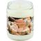 Show in main carousel: Pet Odor Exterminator White Pumpkin Deodorizer Candle, 13-oz slide 1 of 1