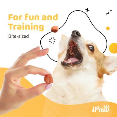 Show full view: iPaw Chicken Tots Gluten-Free Adult Soft & Chew Dog Treats, 3.53-oz bag slide 3 of 9