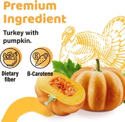 iPaw Turkey Meat with Pumpkin Thin Sticks Gluten-Free Adult Soft & Chew Dog Treats, 3.53-oz bag slide 2 of 6