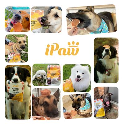 Show full view: iPaw Turkey Jerky Chips Gluten-Free Adult Dehydrated Dog Treats, 3.53-oz bag slide 8 of 9