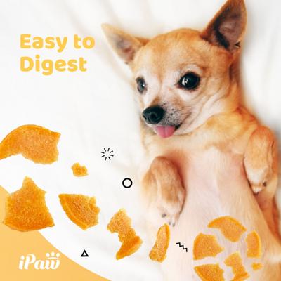 Show full view: iPaw Turkey Jerky Chips Gluten-Free Adult Dehydrated Dog Treats, 3.53-oz bag slide 6 of 9