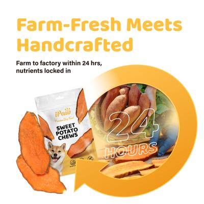 Show full view: iPaw Sweet Potato Chews Vegan Adult Dehydrated Dog Treats, 3.53-oz bag slide 6 of 7