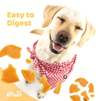 Show full view: iPaw Chicken Jerky Chips Gluten-Free Adult Dehydrated Dog Treats, 3.53-oz bag slide 5 of 9