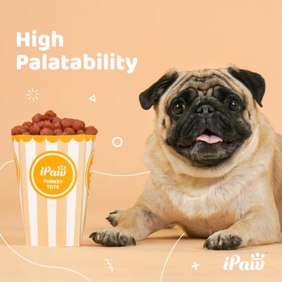 Show full view: iPaw Turkey Tots Gluten-Free Adult Soft & Chew Dog Treats, 3.53-oz bag slide 5 of 9