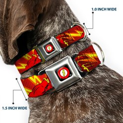 Buckle-Down DC Comics The Flash Boom Kaboom Dog Collar, Medium: 11 to 16.5-in neck, 1-in wide slide 2 of 8