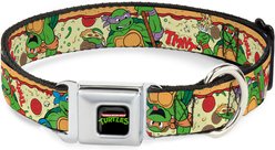 Buckle-Down Nickelodeon Classic TMNT Turtle Pizza Dog Collar, Medium: 16 to 23-in neck, 1.5-in wide
