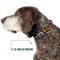 Show in main carousel: Buckle-Down Peanuts Worldwide LLC Peanuts Athletic Club Poses & Quotes Dog Collar, Large: 15 to 24-in neck, 1-in wide slide 6 of 8