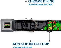 Buckle-Down Nickelodeon Ninja Turtles Group Pose TMNT Logo Dog Collar, Large: 15 to 24-in neck, 1-in wide slide 2 of 8