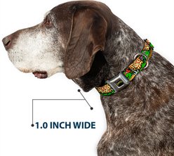 Buckle-Down Nickelodeon Ninja Turtles Turtle Poses Pizza Slices Dog Collar, Medium: 11 to 16.5-in neck, 1-in wide slide 2 of 8