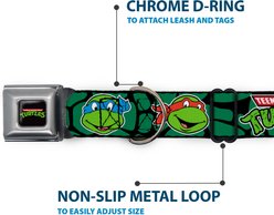 Buckle-Down Nickelodeon Teenage Mutant Ninja Turtles Faces Green Turtle Shell Dog Collar, Medium: 11 to 16.5-in neck, 1-in wide slide 2 of 8