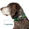 Show in main carousel: Buckle-Down Nickelodeon Teenage Mutant Ninja Turtles Faces Green Turtle Shell Dog Collar, Small: 9.5 to 13-in neck, 1-in wide slide 7 of 8