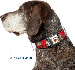 Buckle-Down Looney Tunes Tasmanian Devil Expressions Dog Collar, Large: 15 to 24-in neck, 1-in wide slide 2 of 8