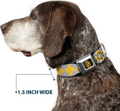 Buckle-Down Warner Bros. Harry Potter Hufflepuff Stars Argyle Plaid Dog Collar, Large: 15 to 24-in neck, 1-in wide slide 2 of 8