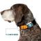 Show in main carousel: Buckle-Down Marvel Comics Iron Man Face I Am Iron Man Dog Collar, Medium: 16 to 23-in neck, 1.5-in wide slide 8 of 9
