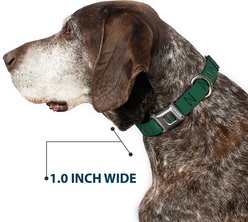 Buckle-Down The Wizarding World of Harry Potter Slytherin Crest Dog Collar, Large: 15 to 24-in neck, 1-in wide slide 2 of 8