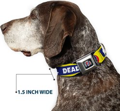 Buckle-Down Grateful Dead Text Box & Steal Your Face Logo Dog Collar, Medium: 16 to 23-in neck, 1.5-in wide slide 2 of 8