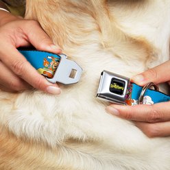 Buckle-Down The Flintstones & Rubbles Group Pose Dog Collar, Large: 15 to 24-in neck, 1-in wide slide 2 of 8