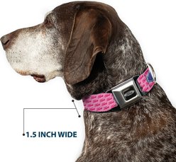 Buckle-Down Ford Oval Text Repeat Dog Collar, Large: 15 to 24-in neck, 1-in wide slide 2 of 8