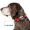 Show in main carousel: Buckle-Down DC Comics The Flash Boom Kaboom Dog Collar, Large: 15 to 24-in neck, 1-in wide slide 7 of 8