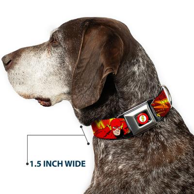 Show full view: Buckle-Down DC Comics The Flash Boom Kaboom Dog Collar, Large: 15 to 24-in neck, 1-in wide slide 7 of 8