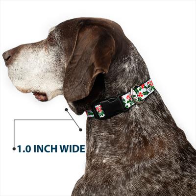 Show full view: Buckle-Down Holly & Mistletoe Dog Collar, Medium slide 6 of 9