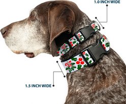 Buckle-Down Holly & Mistletoe Dog Collar, Large slide 2 of 9