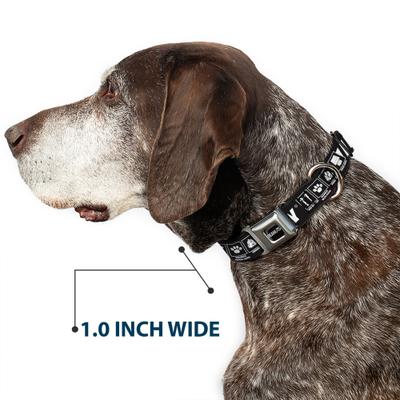Show full view: Buckle-Down Peanuts Worldwide LLC Peanuts Snoopy Care Symbols Dog Collar, Small: 9.5 to 13-in neck, 1-in wide slide 6 of 8