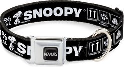 Buckle-Down Peanuts Worldwide LLC Peanuts Snoopy Care Symbols Dog Collar, Small: 9.5 to 13-in neck, 1-in wide