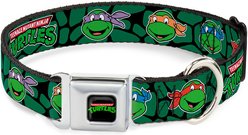 Buckle-Down Nickelodeon Teenage Mutant Ninja Turtles Faces Green Turtle Shell Dog Collar, Large: 20 to 31-in neck, 1.5-in wide