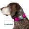 Show in main carousel: Buckle-Down Mopar Logo Dog Collar, Large: 20 to 31-in neck, 1.5-in wide slide 7 of 8
